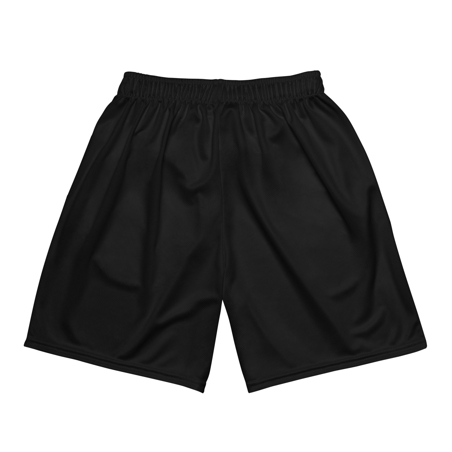 Stripe Unisex mesh shorts